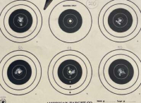 Junior Shooters Iron Sights